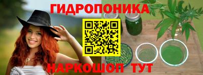 apvp Кунгур
