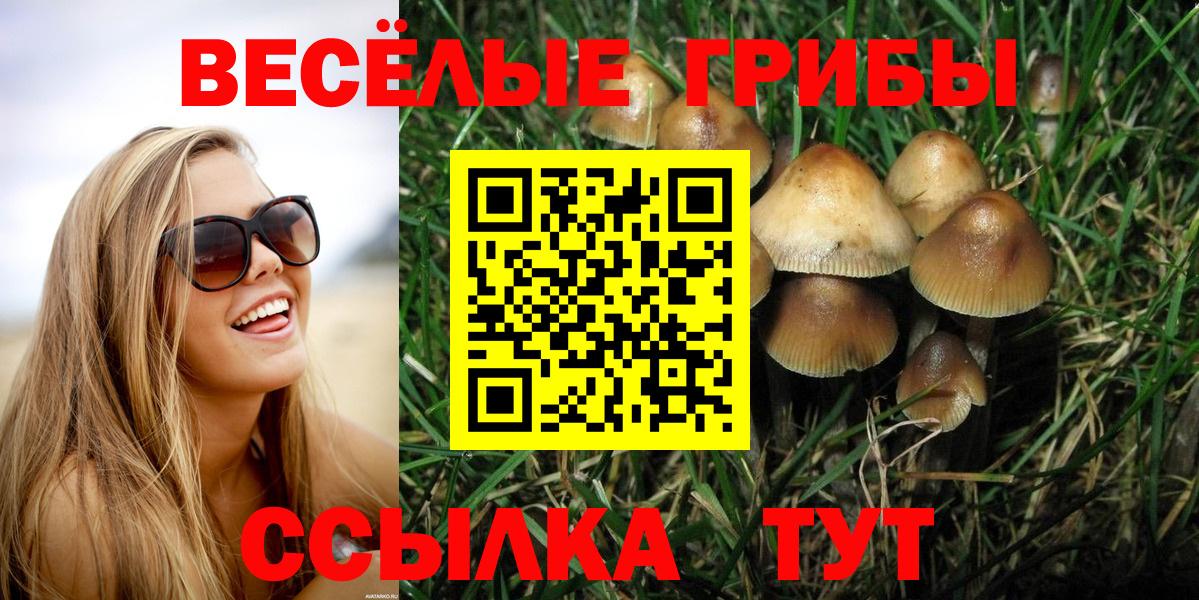 Галлюциногенные грибы мицелий  Вход с VPN  Галлюциногенные грибы ЛСД  купить закладку  Углич 