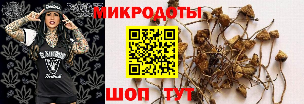 Галлюциногенные грибы Cubensis Углич